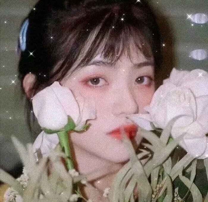 乱世一美人